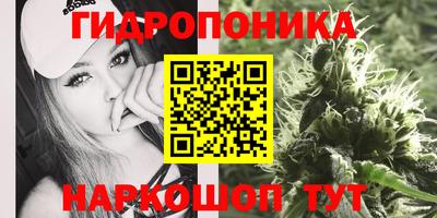 PSILOCYBIN Новозыбков