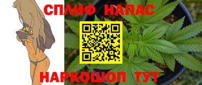 PSILOCYBIN Новозыбков