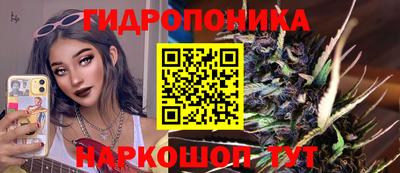 дмт Новодвинск